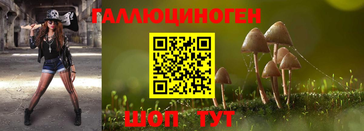Псилоцибиновые грибы Magic Shrooms  Вход с VPN  Галлюциногенные грибы Psilocybe  где найти наркотики  Кизилюрт 